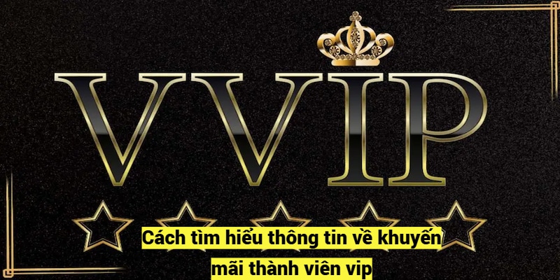 Cách tìm hiểu thông tin về khuyến mãi thành viên vip