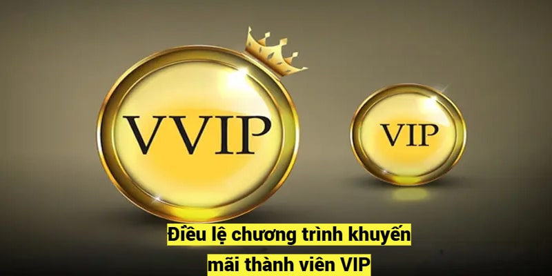 Điều lệ chương trình khuyến mãi thành viên VIP