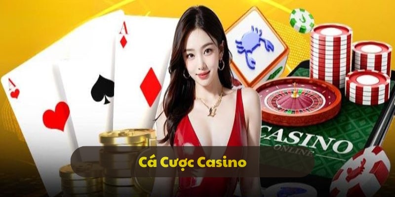 Các loại cá cược Casino gây cấn